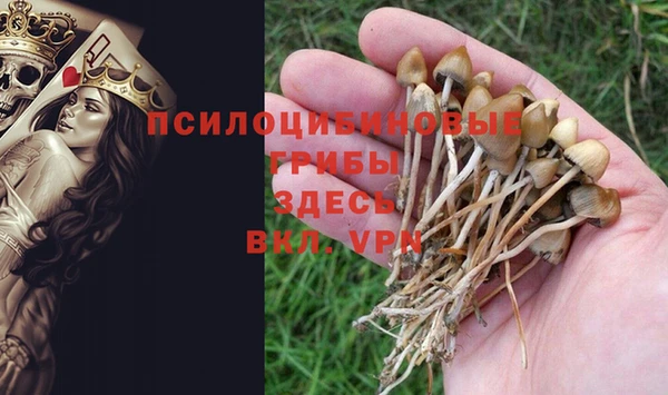 молекула духа Алексин