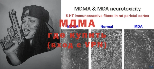 молекула духа Алексин